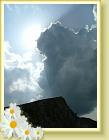 DSCF7317
