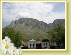 DSCN0343
