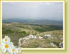 DSCN0419